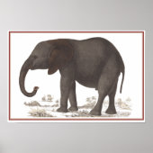 ELEPHANT PRINT (Voorkant)