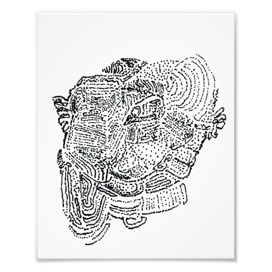 Elephant Print Foto Afdruk (Voorkant)