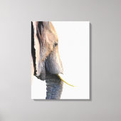 Elephant profile oerwoud dierportret canvas afdruk (Voorkant)