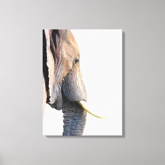 Elephant profile oerwoud dierportret canvas afdruk (Voorkant)