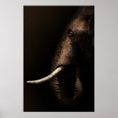 Elephant Profile Poster (Voorkant)