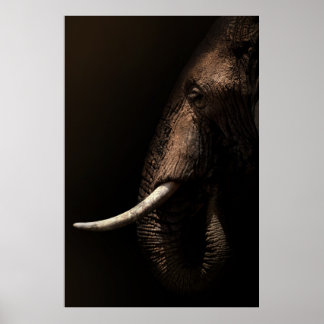 Elephant Profile Poster