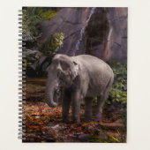 ELEPHANT RAIN FOREST PLANNER (Voorkant)