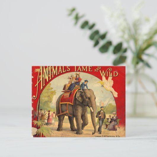 Elephant Red Book Briefkaart (Staand voorkant)