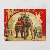 Elephant Red Book Briefkaart (Voorkant)