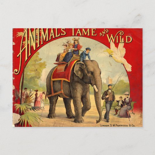 Elephant Red Book Briefkaart (Voorkant)