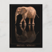 Elephant Reflection Briefkaart (Voorkant)