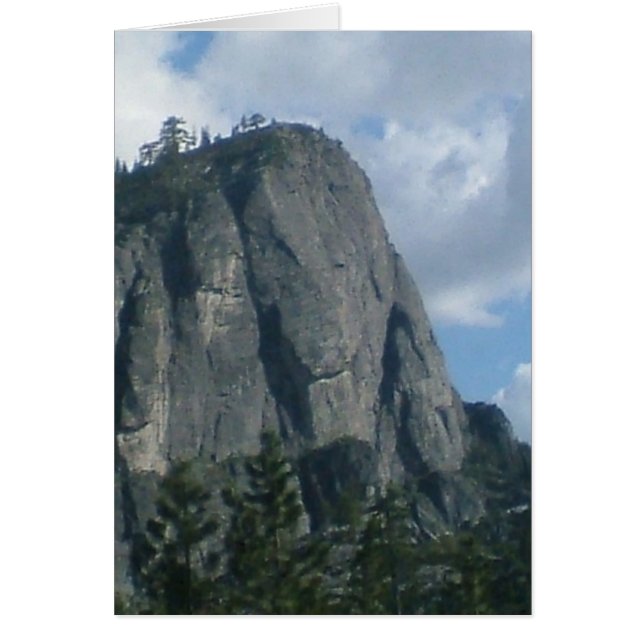 Elephant Rock (Voorkant)