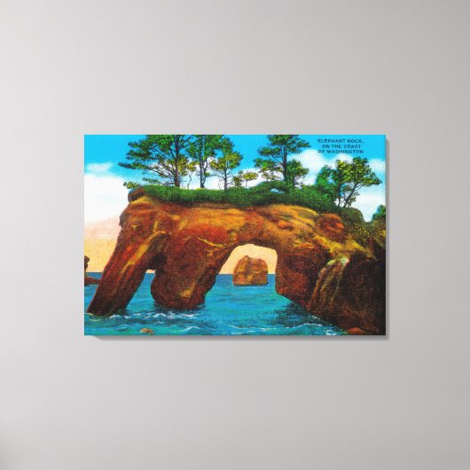 Elephant Rock aan de kust van Washington Canvas Afdruk (Voorkant)