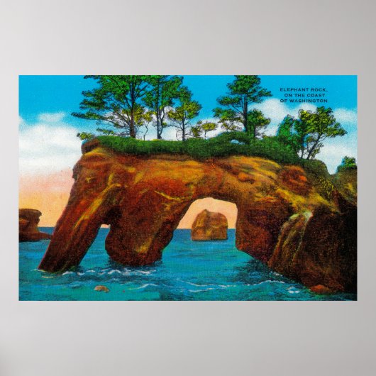 Elephant Rock aan de kust van Washington Poster (Voorkant)