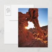 Elephant Rock in de Valley of Fire Briefkaart (Voorkant / Achterkant)