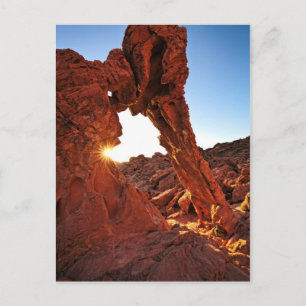 Elephant Rock in de Valley of Fire Briefkaart