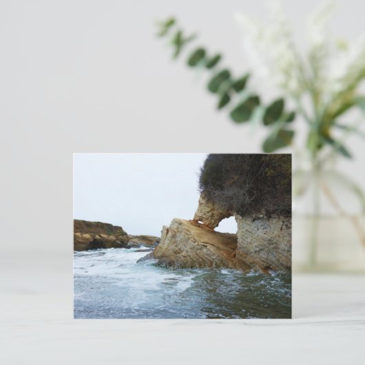 Elephant Rock Montaña de Oro Beach Briefkaart (Staand voorkant)