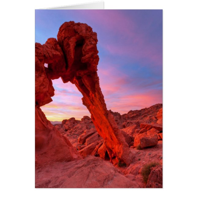 Elephant Rock Morning Glow (Voorkant)