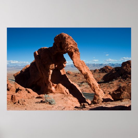 Elephant Rock Poster (Voorkant)