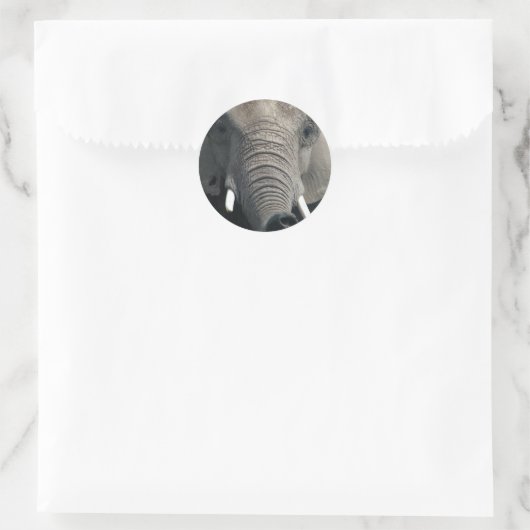 Elephant Ronde Sticker (Tas)