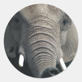 Elephant Ronde Sticker (Voorkant)