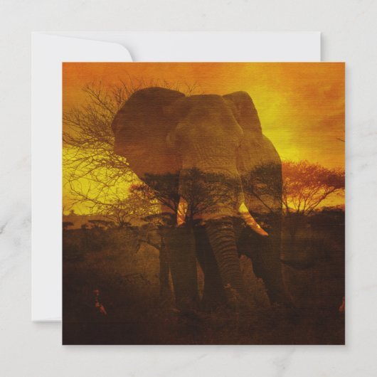 Elephant Safari Birthday Party Kaart (Achterkant)