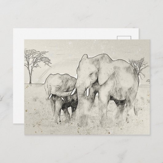 Elephant Safari Sketch Post Kaart (Voorkant / Achterkant)