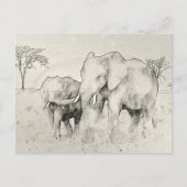 Elephant Safari Sketch Post Kaart (Voorkant)