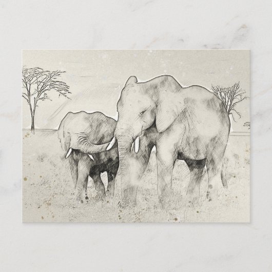 Elephant Safari Sketch Post Kaart (Voorkant)