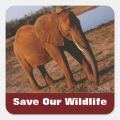 Elephant Save Our Willife Stickers (Voorkant)