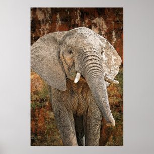 Elephant schilderij Afrikaanse kunst HUGE grootte Poster