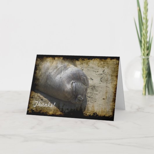 Elephant Seal Bedankt Card (Voorkant)