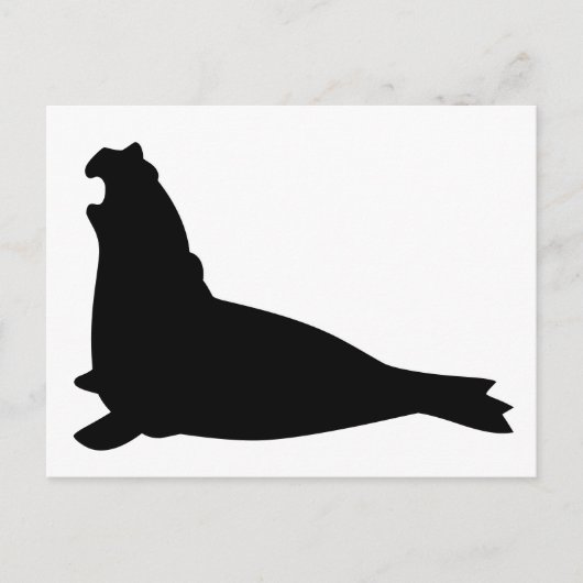 Elephant Seal Briefkaart Black (Voorkant)
