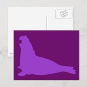 Elephant Seal Briefkaart Paars (Voorkant / Achterkant)