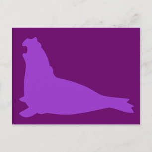 Elephant Seal Briefkaart Paars
