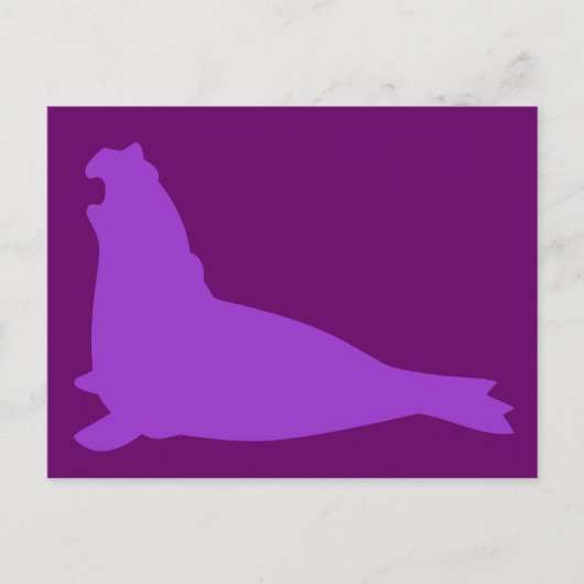 Elephant Seal Briefkaart Paars (Voorkant)