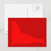 Elephant Seal Briefkaart Red (Voorkant / Achterkant)