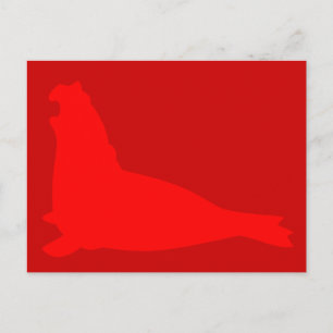 Elephant Seal Briefkaart Red