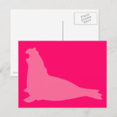 Elephant Seal Briefkaart Roze (Voorkant / Achterkant)