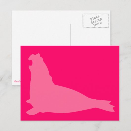 Elephant Seal Briefkaart Roze (Voorkant / Achterkant)