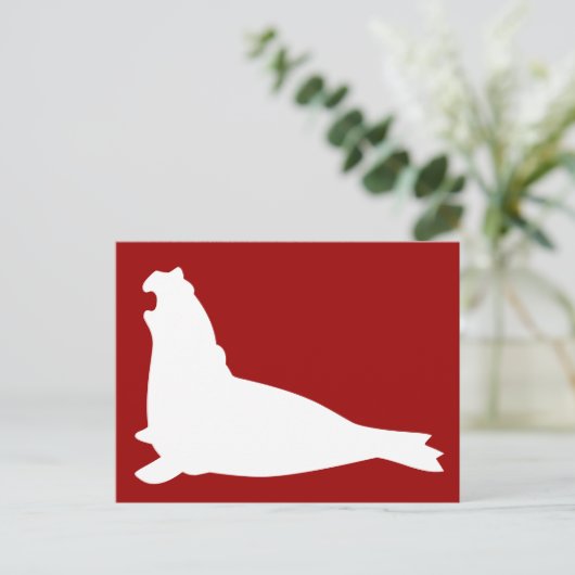 Elephant Seal Briefkaart White (Staand voorkant)