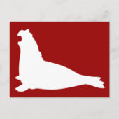 Elephant Seal Briefkaart White (Voorkant)
