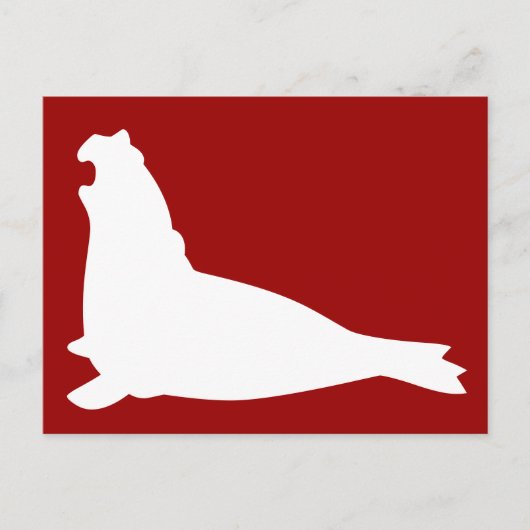 Elephant Seal Briefkaart White (Voorkant)