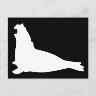 Elephant Seal Briefkaart Whiteblack