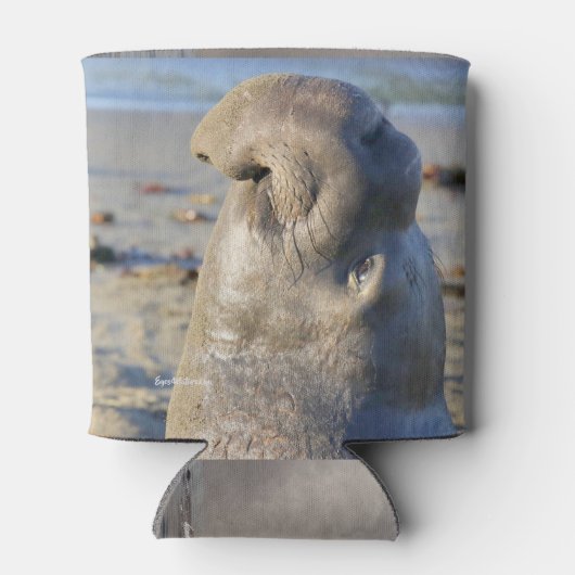 Elephant Seal bull Blikjeskoeler (Achterkant)