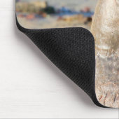 Elephant Seal bull Muismat (Hoek)