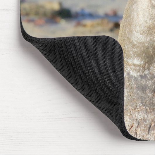 Elephant Seal bull Muismat (Hoek)