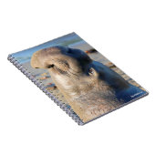 Elephant Seal bull Notitieboek (Rechterzijde)