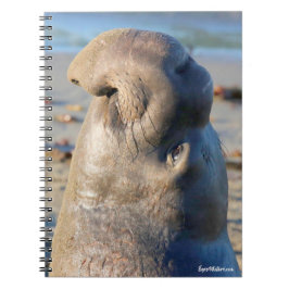 Elephant Seal bull Notitieboek
