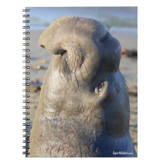 Elephant Seal bull Notitieboek (Voorkant)