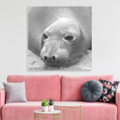Elephant Seal Canvas Afdruk (Insitu (Woonkamer))