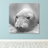 Elephant Seal Canvas Afdruk (Insitu (Houten vloer))