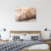Elephant Seal Canvas Afdruk (Insitu (Slaapkamer))
