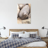 Elephant Seal Canvas Afdruk (Insitu (Slaapkamer))